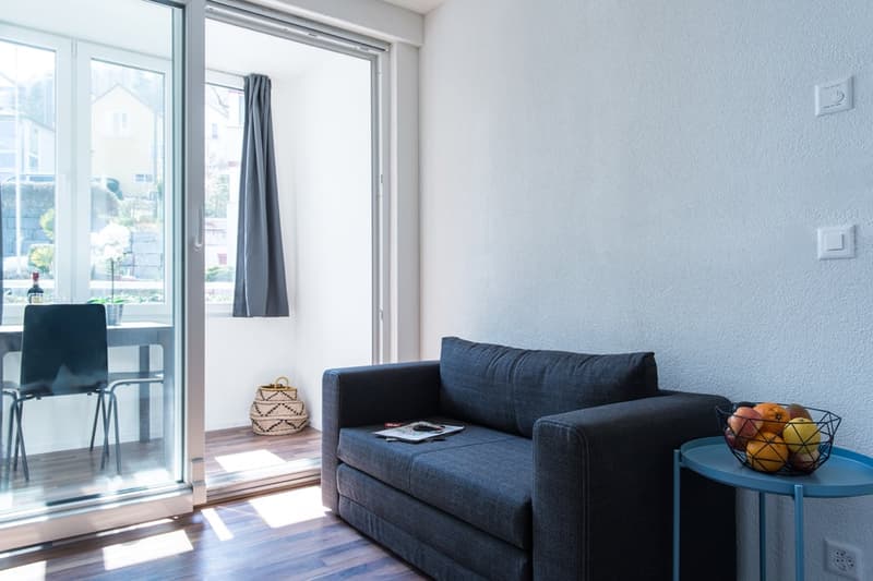 Charmantes möbliertes 1.5-Zimmer Studio beim Triemli (6)