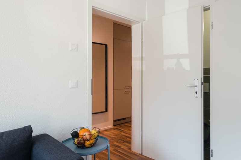 Charmantes möbliertes 1.5-Zimmer Studio beim Triemli (18)