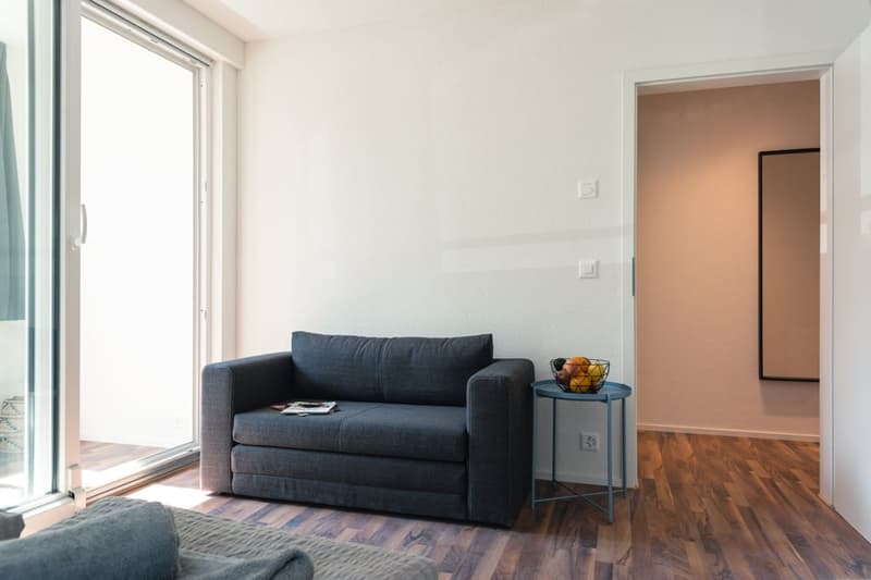 Charmantes möbliertes 1.5-Zimmer Studio beim Triemli (7)