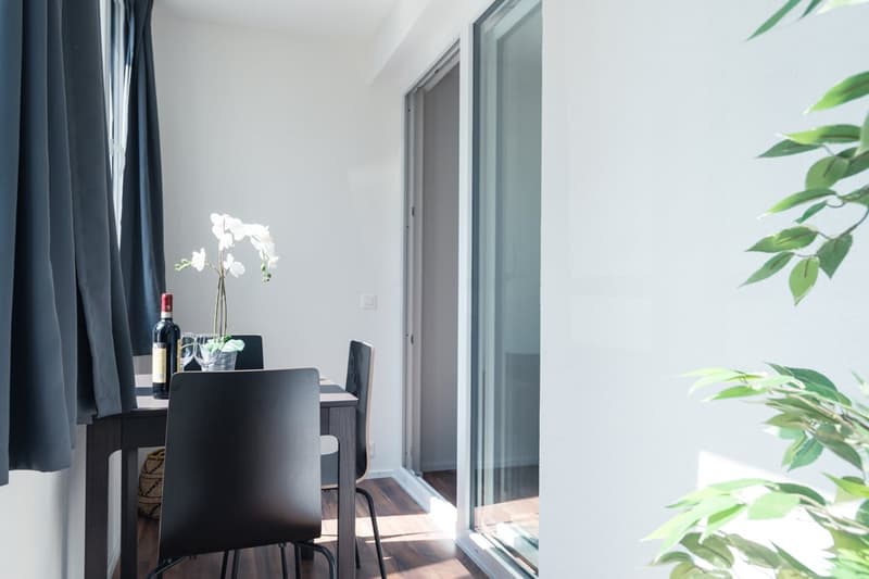 Charmantes möbliertes 1.5-Zimmer Studio beim Triemli (17)