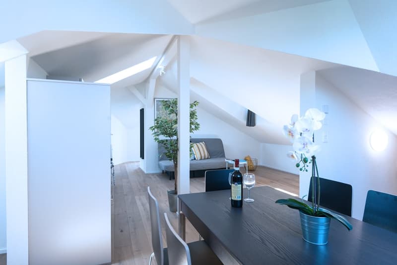 Helle 3 Zimmer Dachwohnung mit Aussicht in Zürich Wiedikon (6)