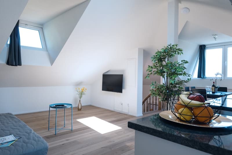 Helle 3 Zimmer Dachwohnung mit Aussicht in Zürich Wiedikon (8)