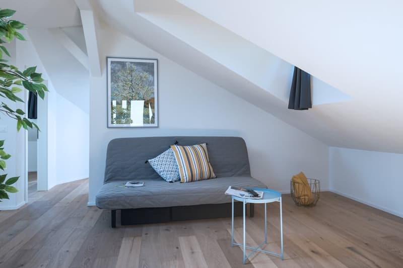 Helle 3 Zimmer Dachwohnung mit Aussicht in Zürich Wiedikon (7)