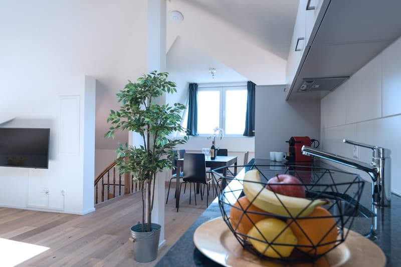 Helle 3 Zimmer Dachwohnung mit Aussicht in Zürich Wiedikon (2)
