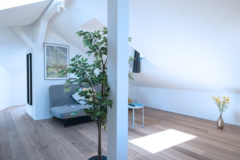 Helle 3 Zimmer Dachwohnung mit Aussicht in Zürich Wiedikon (5)