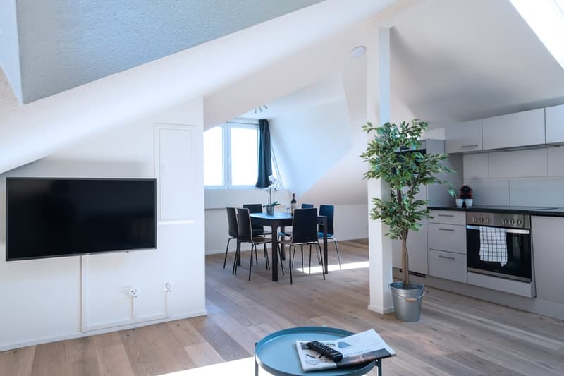Helle 3 Zimmer Dachwohnung mit Aussicht in Zürich Wiedikon (1)
