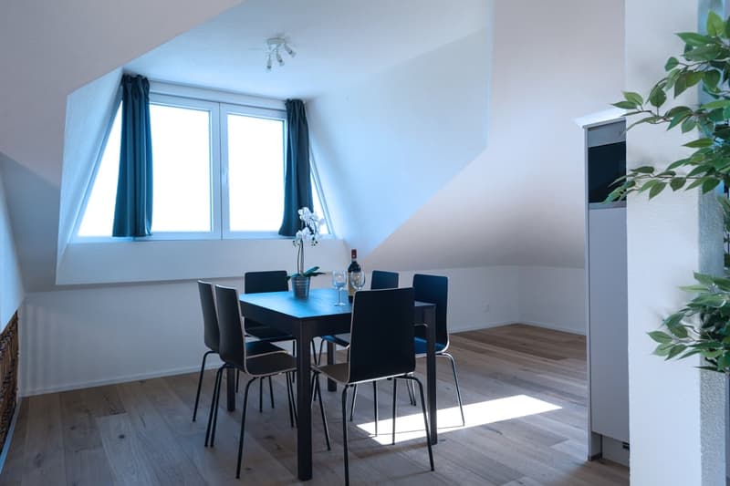 Helle 3 Zimmer Dachwohnung mit Aussicht in Zürich Wiedikon (9)