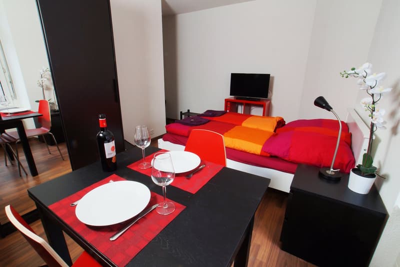 Gemütliches Studio-Apartment in Zürich-Oerlikon (1)