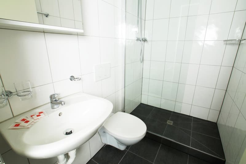 Tiled bathroom with white sink, toilet, and glass shower enclosure. Black tile flooring.