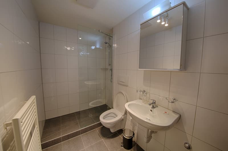 Tiled bathroom with a shower, toilet, and sink. The bathroom has a mirror cabinet and appears to be well-lit.
