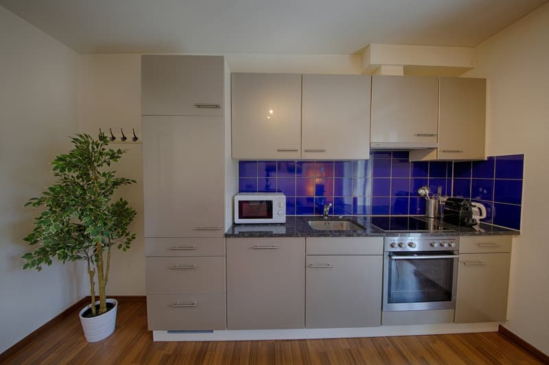 Modern kitchen with light-colored cabinets, blue tile backsplash, built-in oven and microwave, and a potted plant