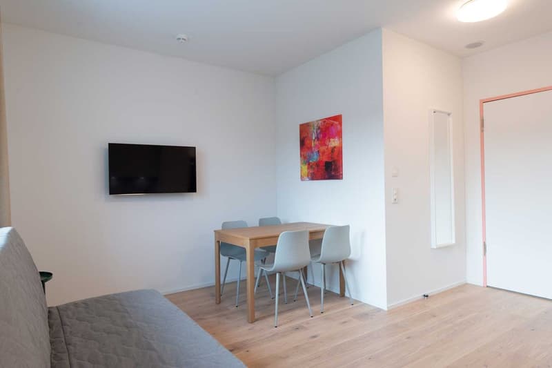Moderne, frisch renovierte 2 Zimmer Wohnungen mit Balkon (3)