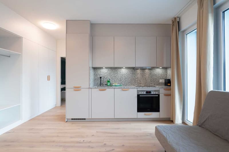 Moderne, frisch renovierte 2 Zimmer Wohnungen mit Balkon (2)