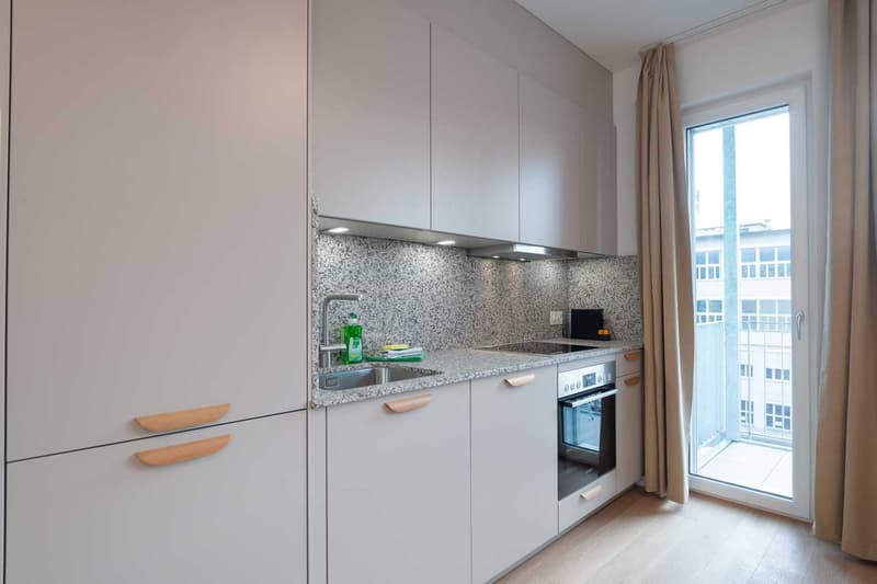 Moderne, frisch renovierte 2 Zimmer Wohnungen mit Balkon (8)