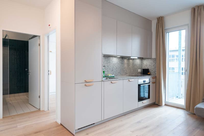 Moderne, frisch renovierte 2 Zimmer Wohnungen mit Balkon (4)