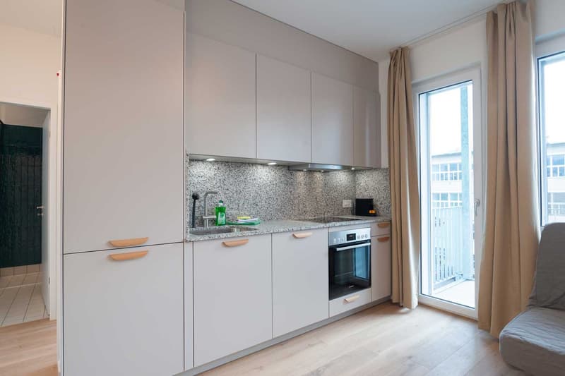 Moderne, frisch renovierte 2 Zimmer Wohnungen mit Balkon (5)
