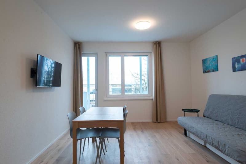 Moderne, frisch renovierte 2 Zimmer Wohnungen mit Balkon (7)