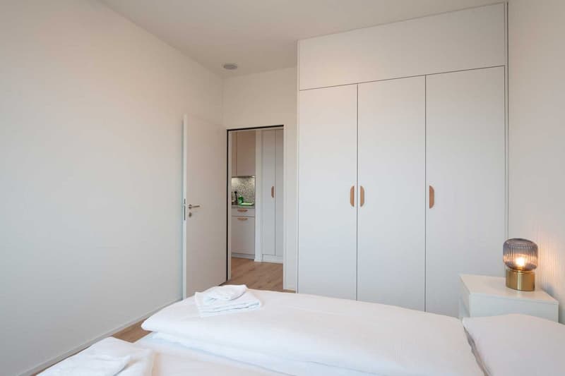 Moderne, frisch renovierte 2 Zimmer Wohnungen mit Balkon (12)