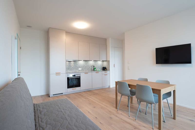 Moderne, frisch renovierte 2 Zimmer Wohnungen mit Balkon (2)