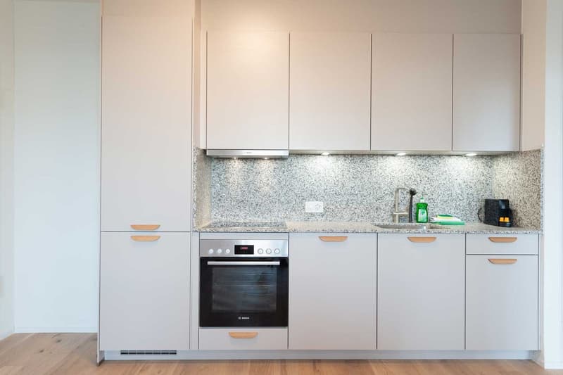Moderne, frisch renovierte 2 Zimmer Wohnungen mit Balkon (4)