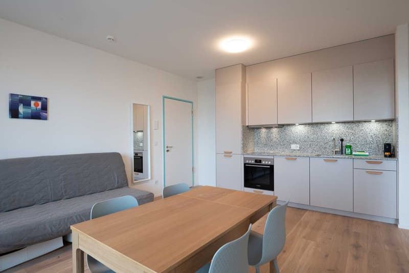 Moderne, frisch renovierte 2 Zimmer Wohnungen mit Balkon (3)