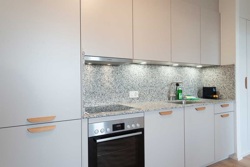 Moderne, frisch renovierte 2 Zimmer Wohnungen mit Balkon (6)