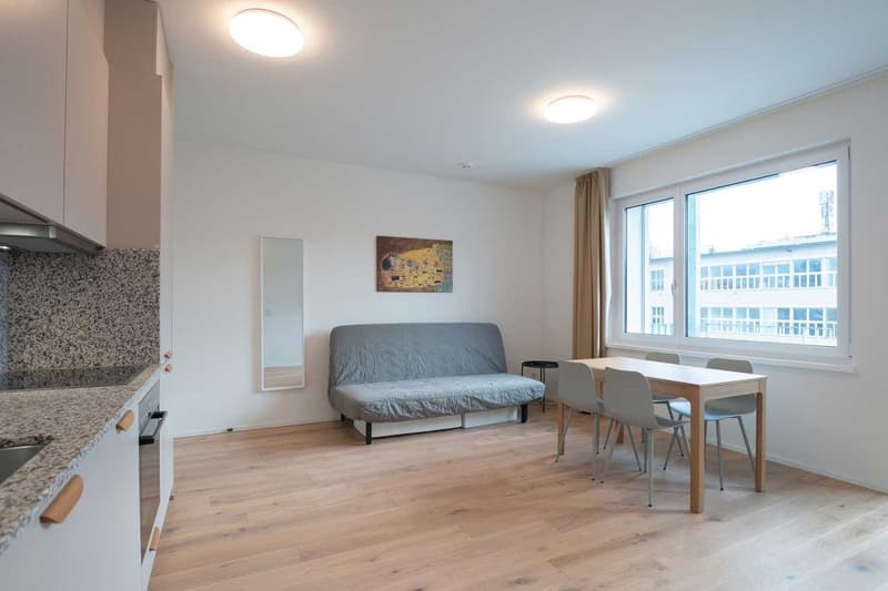 Open-plan studio apartment with hardwood floors, white walls, large windows, a gray sofa bed, a dining table with chairs, and a kitchen area with a dishwasher.