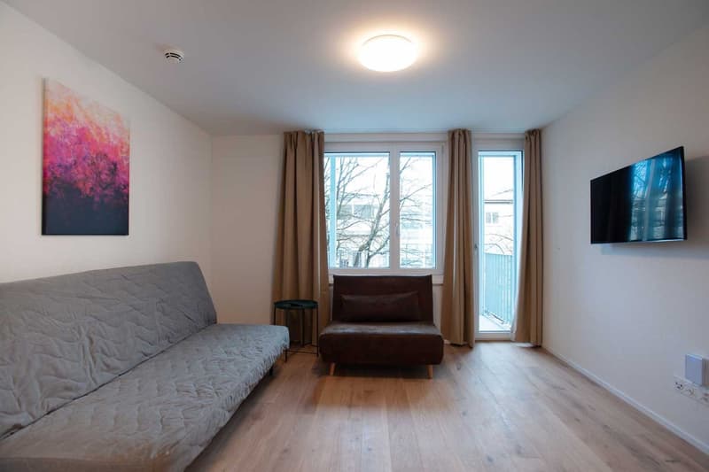 Grosse, moderne und frisch renovierte 3 Zimmer Wohnungen mit Balkon (5)