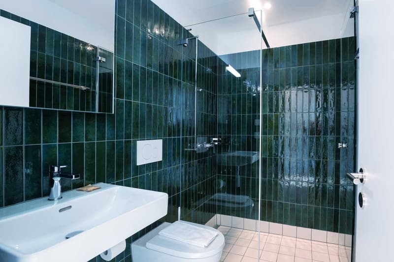 Grosse, moderne und frisch renovierte 3 Zimmer Wohnungen mit Balkon (25)