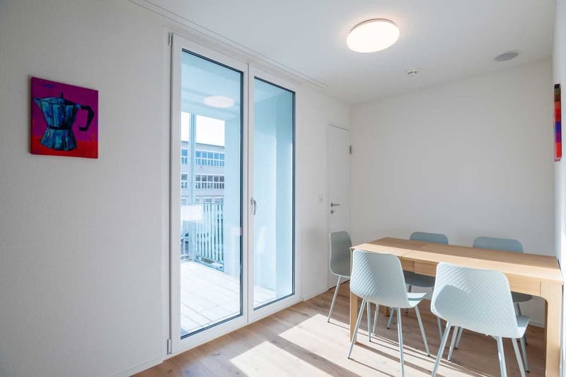 Grosse, moderne und frisch renovierte 3 Zimmer Wohnungen mit Balkon (12)