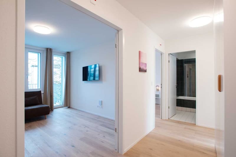 Grosse, moderne und frisch renovierte 3 Zimmer Wohnungen mit Balkon (3)