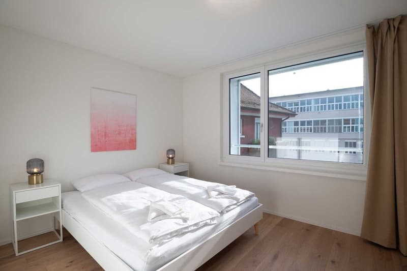 Grosse, moderne und frisch renovierte 3 Zimmer Wohnungen mit Balkon (2)