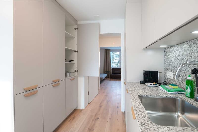 Grosse, moderne und frisch renovierte 3 Zimmer Wohnungen mit Balkon (11)