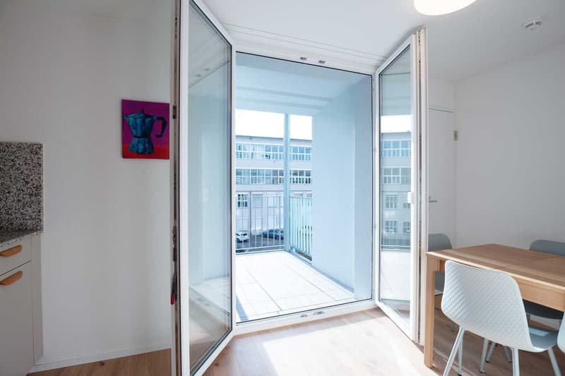 Grosse, moderne und frisch renovierte 3 Zimmer Wohnungen mit Balkon (14)