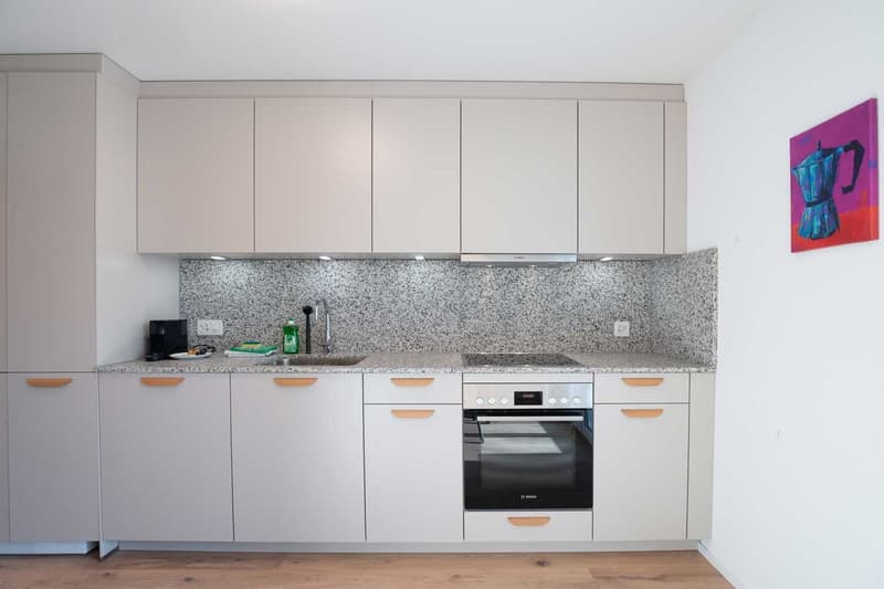 Grosse, moderne und frisch renovierte 3 Zimmer Wohnungen mit Balkon (8)
