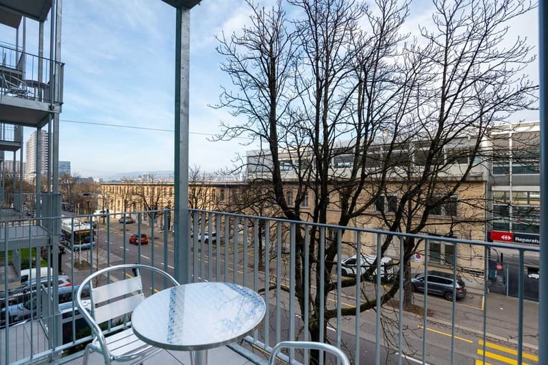 Grosse, moderne und frisch renovierte 3 Zimmer Wohnungen mit Balkon (17)