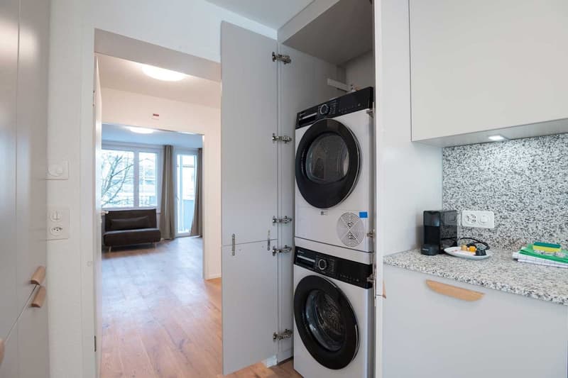 Grosse, moderne und frisch renovierte 3 Zimmer Wohnungen mit Balkon (15)