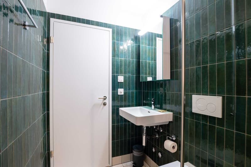 Grosse, moderne und frisch renovierte 3 Zimmer Wohnungen mit Balkon (26)