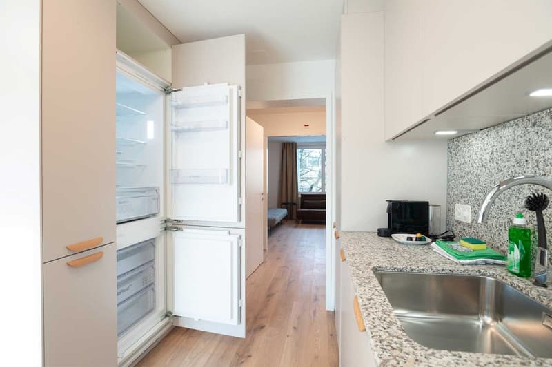 Grosse, moderne und frisch renovierte 3 Zimmer Wohnungen mit Balkon (13)
