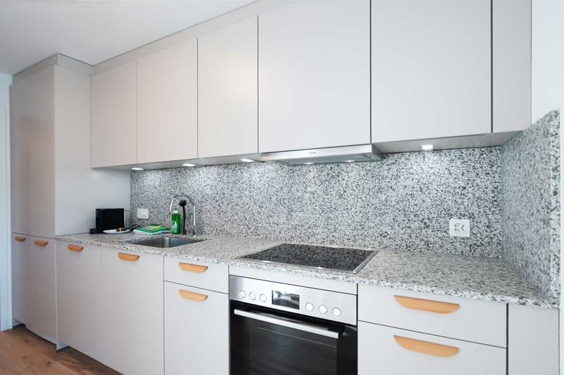 Grosse, moderne und frisch renovierte 3 Zimmer Wohnungen mit Balkon (9)
