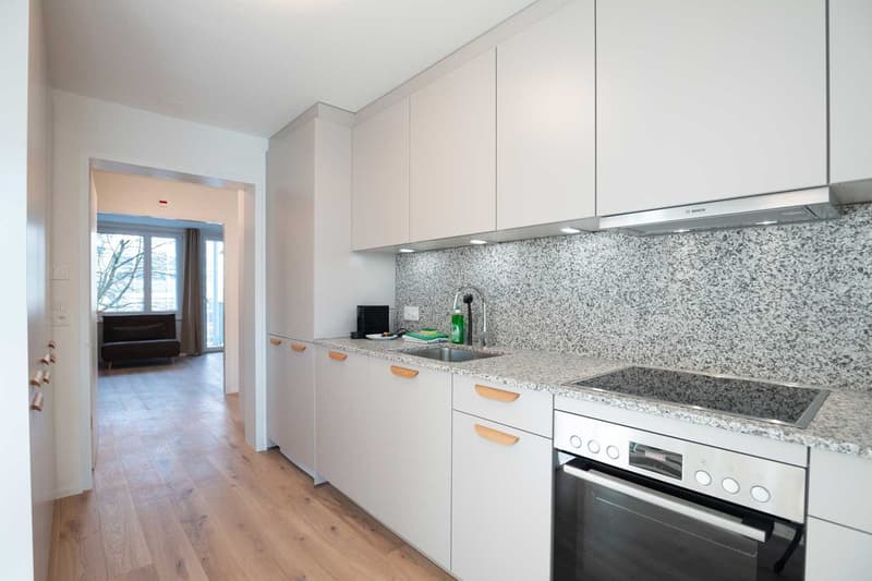 Grosse, moderne und frisch renovierte 3 Zimmer Wohnungen mit Balkon (10)