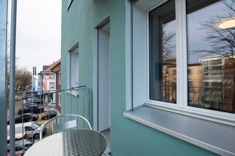 Grosse, moderne und frisch renovierte 3 Zimmer Wohnungen mit Balkon (18)