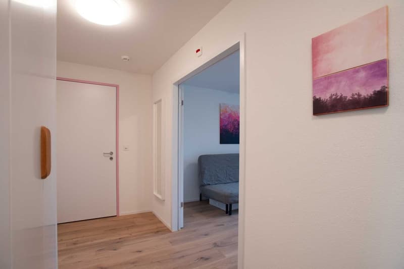 Grosse, moderne und frisch renovierte 3 Zimmer Wohnungen mit Balkon (4)