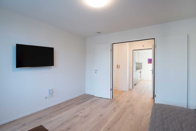 Grosse, moderne und frisch renovierte 3 Zimmer Wohnungen mit Balkon (6)