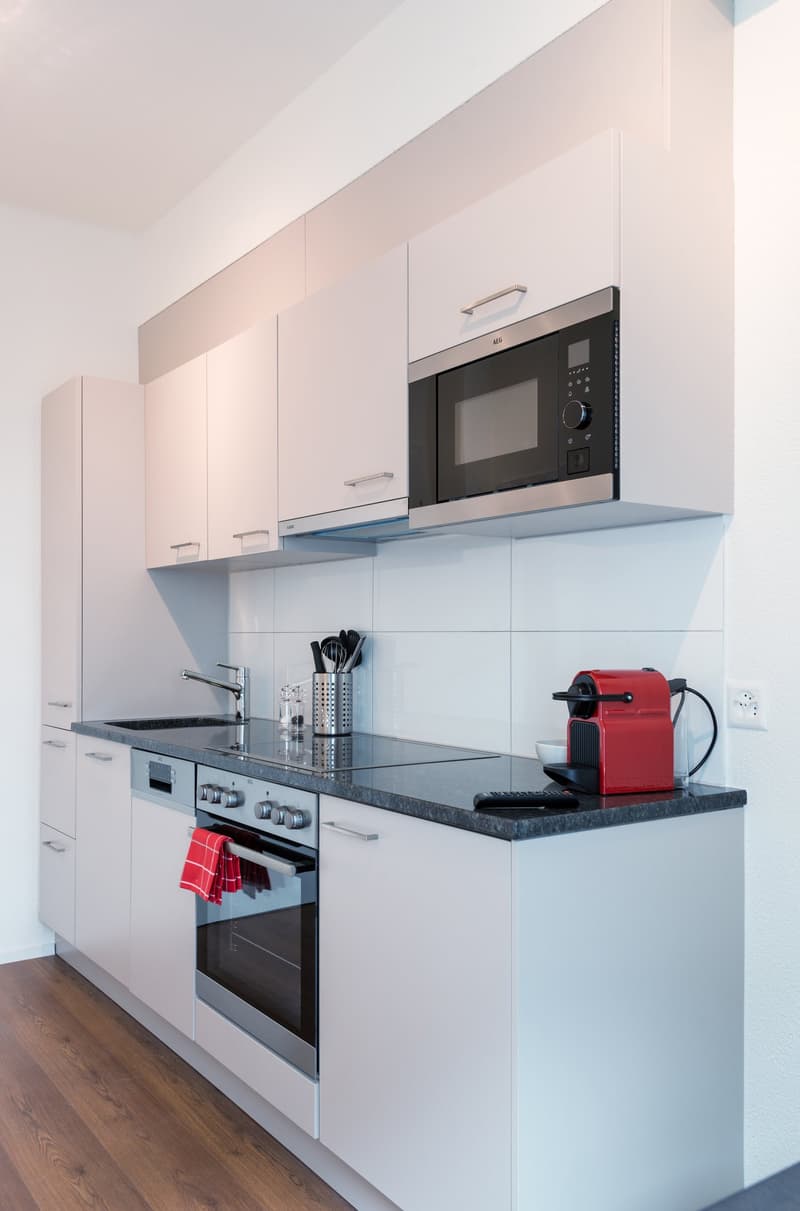Charmantes möbliertes 2 Zimmer-Apartment mit Balkon in Zürich-Altstetten (4)