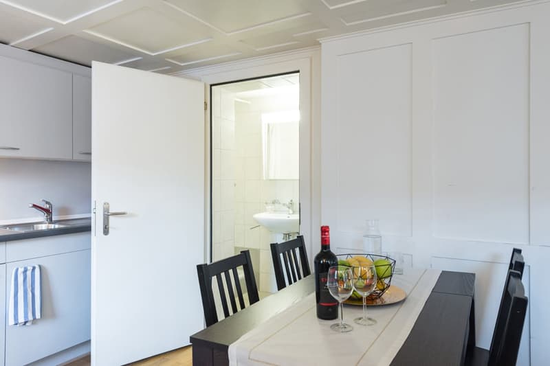 Charmante Studios im Herzen von Zug (3)