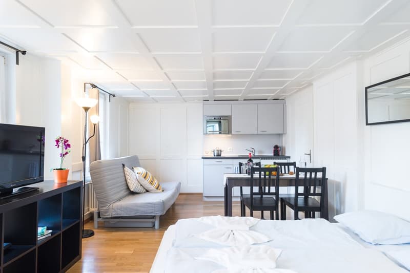 Charmante Studios im Herzen von Zug (1)