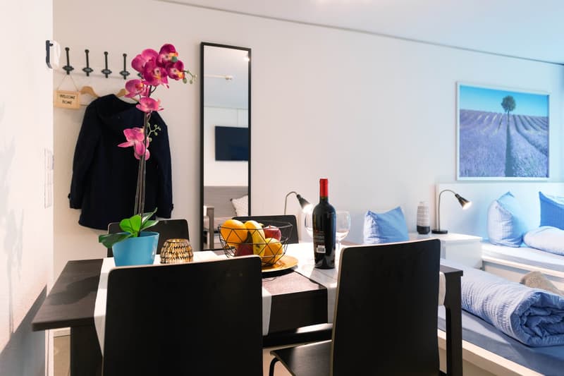 Möbliertes, modernes 1.5 Zimmer Studio mit Balkon (8)