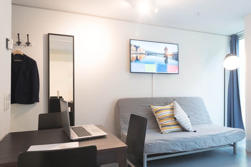 Gemütliches 1-Zimmer-Apartment in Luzern (8)