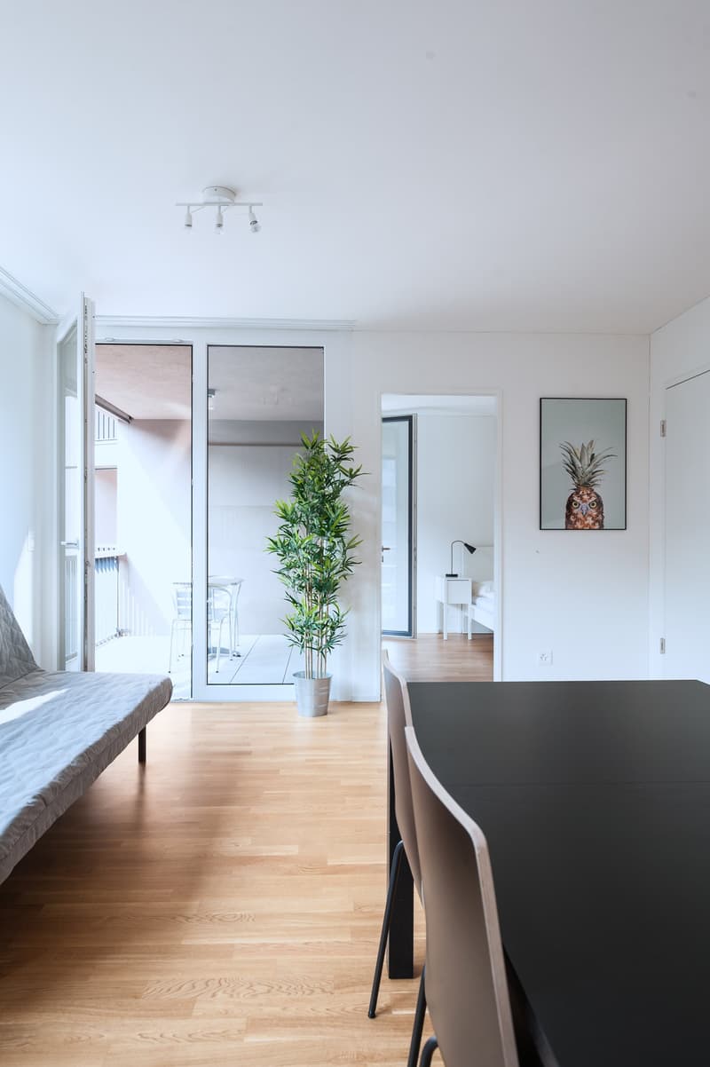 Open-concept living space with hardwood floors, large windows, a sofa, a dining table with chairs, and a potted plant. The space appears to be part of a larger apartment or condominium unit.